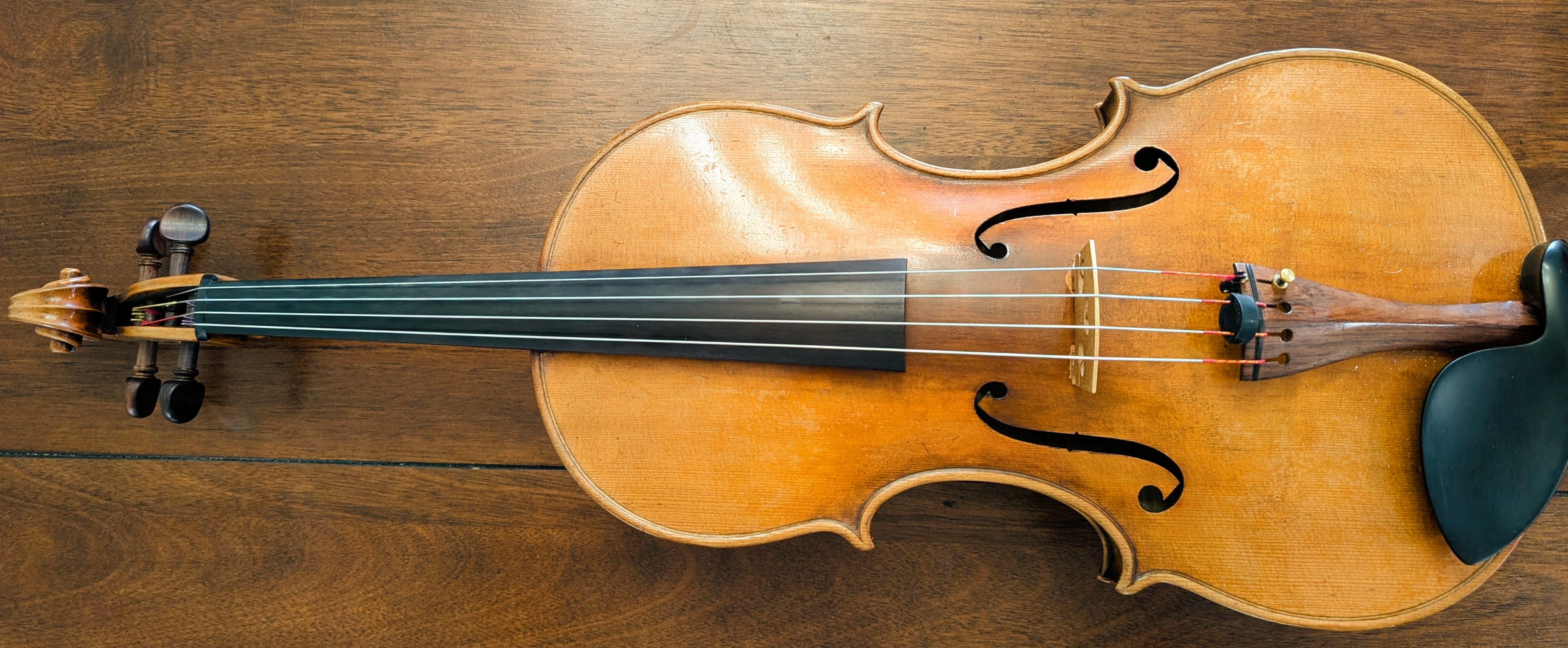 A viola alta by Karl Adam Hörlein